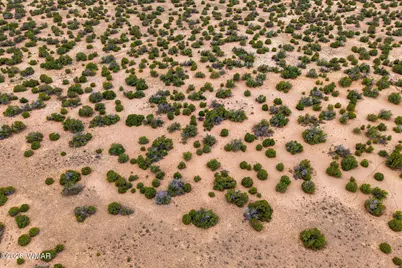Lot 3 Witch Well Ranches, Saint Johns, AZ 85936 - Photo 18