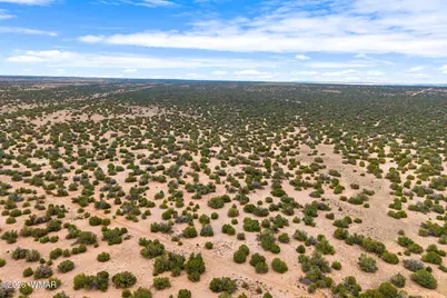 Lot 3 Witch Well Ranches, Saint Johns, AZ 85936 - Photo 8