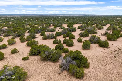 Lot 3 Witch Well Ranches, Saint Johns, AZ 85936 - Photo 2