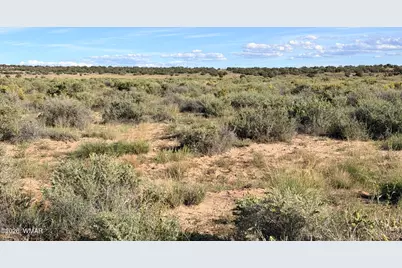 Tbd N 6543, Saint Johns, AZ 85936 - Photo 6