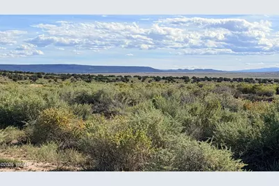 Tbd N 6543, Saint Johns, AZ 85936 - Photo 10