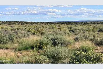 Tbd N 6543, Saint Johns, AZ 85936 - Photo 2