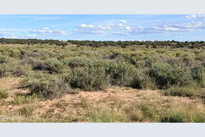 Tbd N 6543, Saint Johns, AZ 85936 - Photo 4