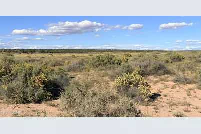 Tbd N 6543, Saint Johns, AZ 85936 - Photo 8