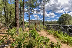 1897 Fir Dr, Lakeside, AZ 85929 - Photo 58