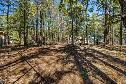 696 E Woodland Lake Road, Pinetop, AZ 85935 - Photo 10