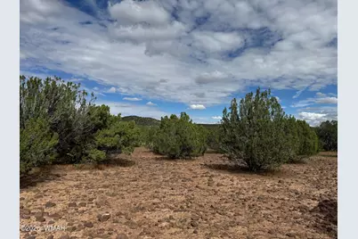 33 County Road 8230, Concho, AZ 85924 - Photo 6
