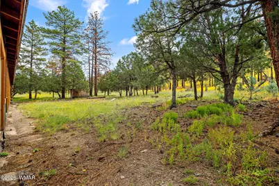41005 Az-261B, Eagar, AZ 85925 - Photo 50
