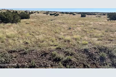 079A-079B Circle Drive, Concho, AZ 85924 - Photo 1