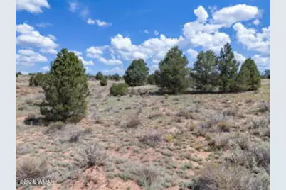 5785 N Muytala Lot D, Unit D #D, Williams, AZ 86046 - Photo 24