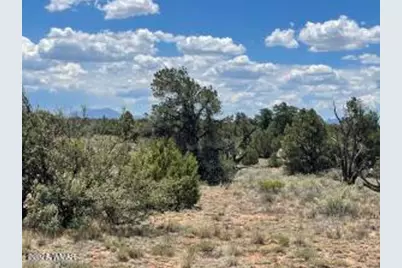 5785 N Muytala Lot D, Unit D #D, Williams, AZ 86046 - Photo 12