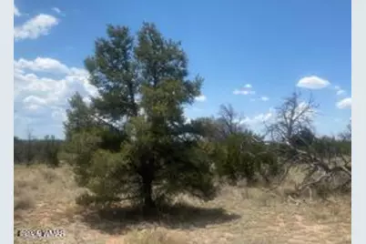 5785 N Muytala Lot D, Unit D #D, Williams, AZ 86046 - Photo 32