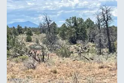5785 N Muytala Lot D, Unit D #D, Williams, AZ 86046 - Photo 16