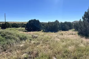 22 Crest Ln, Concho Valley, AZ 85924 - Photo 1