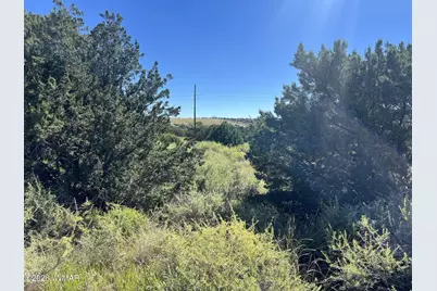 22 Crest Lane, Concho Valley, AZ 85924 - Photo 4