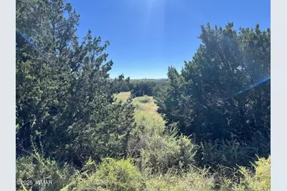 22 Crest Lane, Concho Valley, AZ 85924 - Photo 2