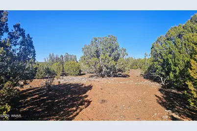 9383 Bald Eagle Road, Show Low, AZ 85901 - Photo 20