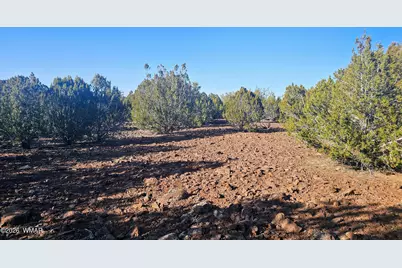 9383 Bald Eagle Road, Show Low, AZ 85901 - Photo 28