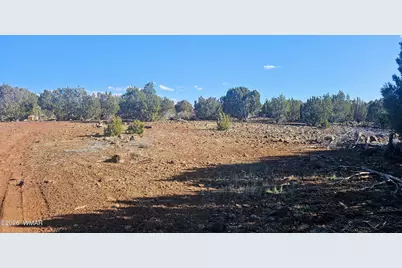 9383 Bald Eagle Road, Show Low, AZ 85901 - Photo 2
