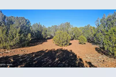9383 Bald Eagle Road, Show Low, AZ 85901 - Photo 16