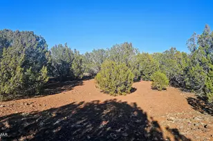 9383 Bald Eagle Rd, Show Low, AZ 85901 - Photo 16