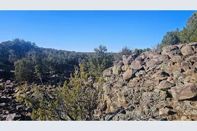 9383 Bald Eagle Road, Show Low, AZ 85901 - Photo 10