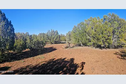 9383 Bald Eagle Road, Show Low, AZ 85901 - Photo 22
