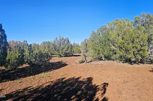 9383 Bald Eagle Rd, Show Low, AZ 85901 - Photo 22