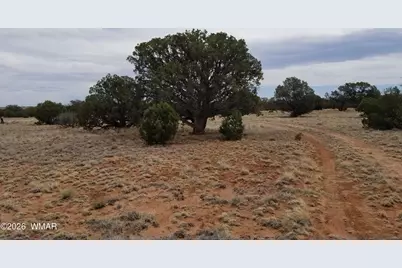 Tbd N5549, Concho, AZ 85924 - Photo 20