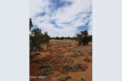 Tbd N5549, Concho, AZ 85924 - Photo 18