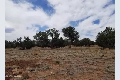 Tbd N5549, Concho, AZ 85924 - Photo 22