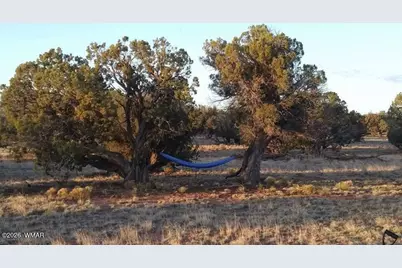 Tbd N5549, Concho, AZ 85924 - Photo 34