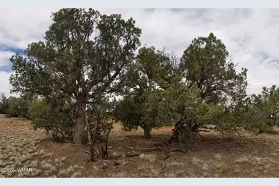 Tbd N5549, Concho, AZ 85924 - Photo 16