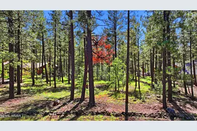 7029 Madison Lane Circle, Pinetop, AZ 85935 - Photo 1