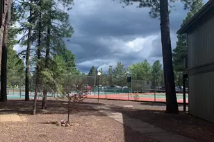 4575 Resort Loop, Pinetop, AZ 85935 - Photo 18