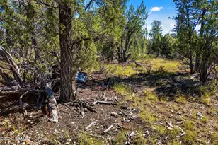 1948 Elk Rd, Heber, AZ 85928 - Photo 1