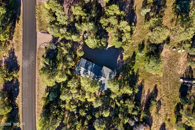 2861 Lodgepole Road, Overgaard, AZ 85933 - Photo 32
