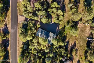 2861 Lodgepole Rd, Overgaard, AZ 85933 - Photo 32