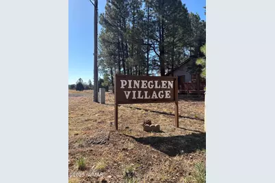 2881 E Show Low Lake Road, Show Low, AZ 85901 - Photo 34