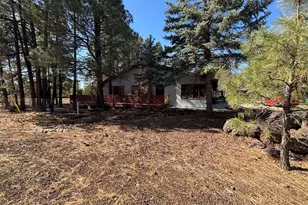 2881 E Show Low Lake Rd, Show Low, AZ 85901 - Photo 26