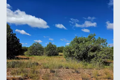 4428 Colt Road, Snowflake, AZ 85937 - Photo 4