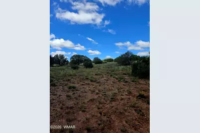 4428 Colt Road, Snowflake, AZ 85937 - Photo 10