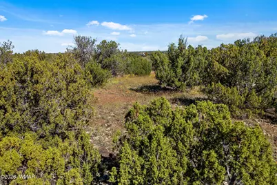 1870 Rainbow Circle, Show Low, AZ 85901 - Photo 14