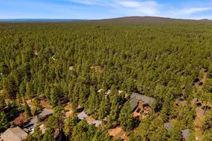 6700 Mark Twain, Pinetop, AZ 85935 - Photo 40