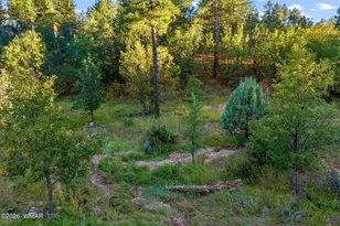 841 Navajo Trail, Show Low, AZ 85901 - Photo 34