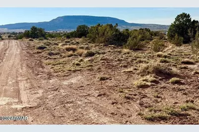 85 Co Road 8500 40 Acres, Concho, AZ 85924 - Photo 18