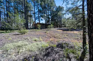 1380 Meadow View Pl, Show Low, AZ 85901 - Photo 28