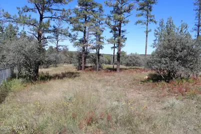 004T Elk Trail, Show Low, AZ 85901 - Photo 4