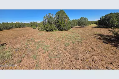 1 8063 Road, Vernon, AZ 85940 - Photo 14