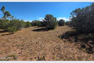 1 8063 Road, Vernon, AZ 85940 - Photo 12